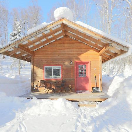 Birch Cabin Talkeetna Exterior foto