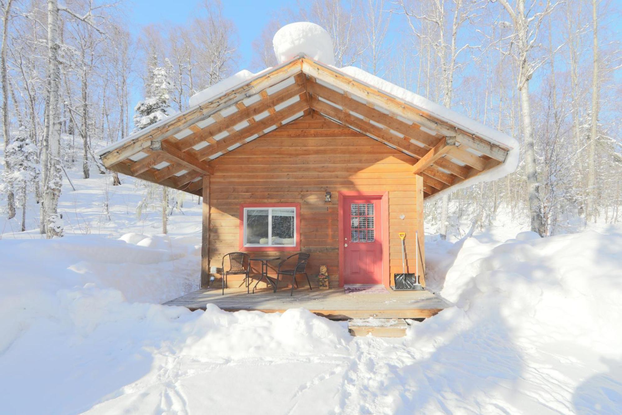 Birch Cabin Talkeetna Exterior foto